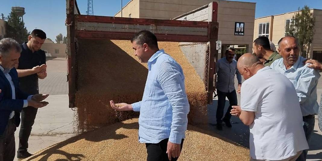 Geçen sene 40, bu sene 6 ton verim elde edildi, durum fiyata yansıdı! Çitçinin yüzü asıldı: Kilosu 17 liradan satıldı 2